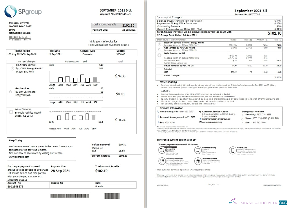 download Singapore SP Group utility bill template in Word and PDF format (2 pages) PDF template